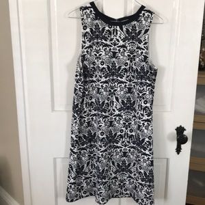 NWT Loft sleeveless dress